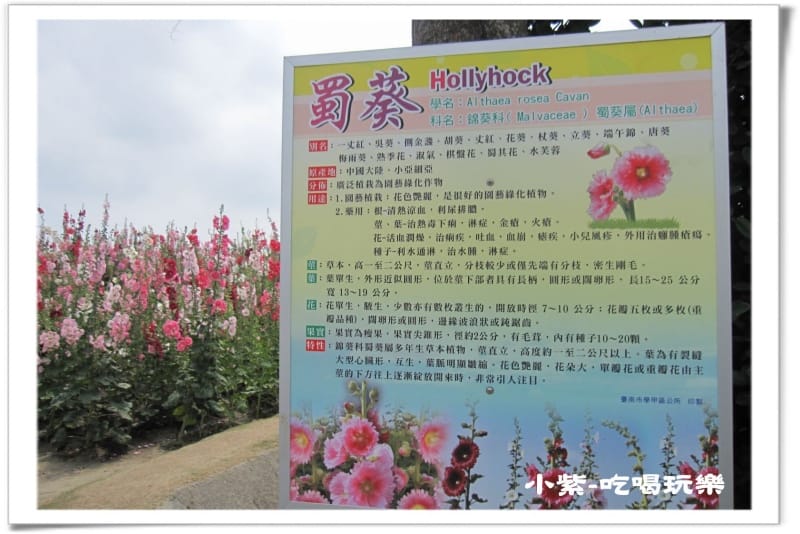 學甲-光華社區 (3).jpg