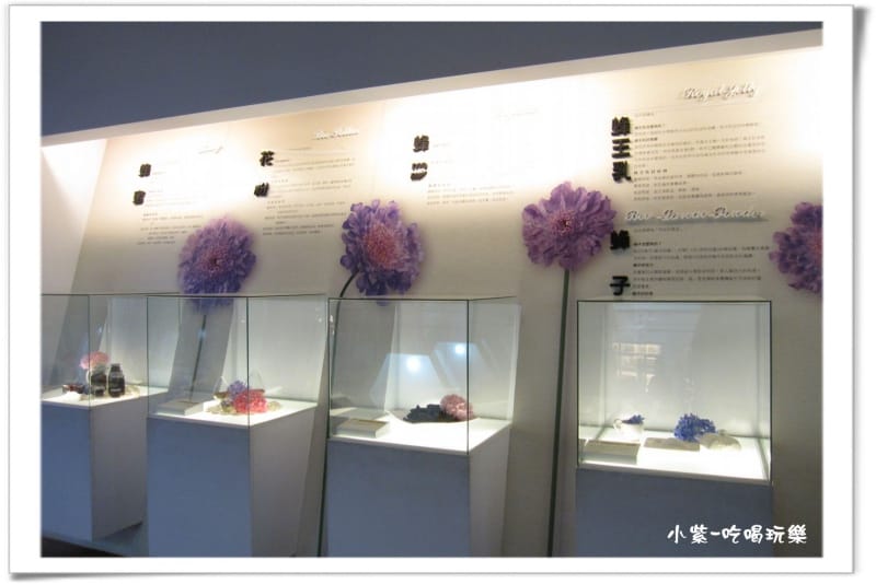 2014.4.13古坑蜜蜂故事館 (21).jpg 2014.4.13古坑蜜蜂故事館 (21).jpg