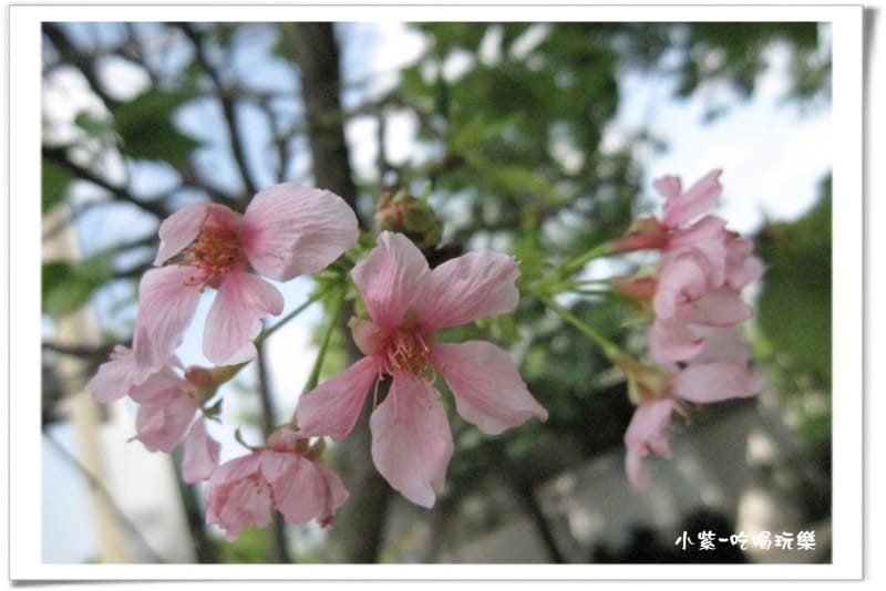 2014.4.12湖光山舍露營區.jpg 2014.4.12湖光山舍露營區.jpg