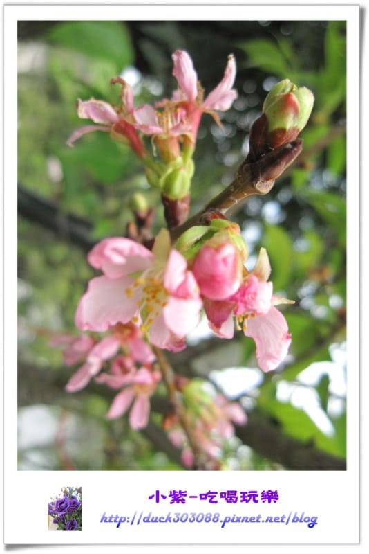 2014.4.12湖光山舍露營區 (51).jpg 2014.4.12湖光山舍露營區 (51).jpg