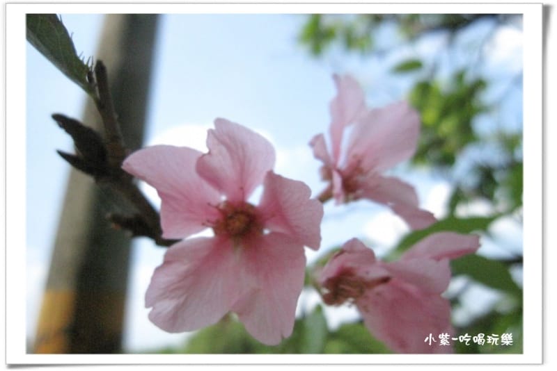 2014.4.12湖光山舍露營區 (107).jpg 2014.4.12湖光山舍露營區 (107).jpg