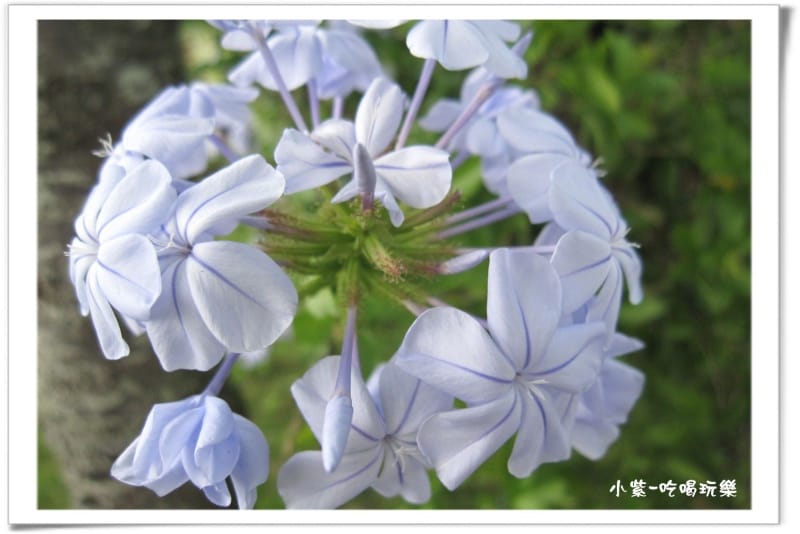 2014.4.12湖光山舍露營區 (52).jpg 2014.4.12湖光山舍露營區 (52).jpg