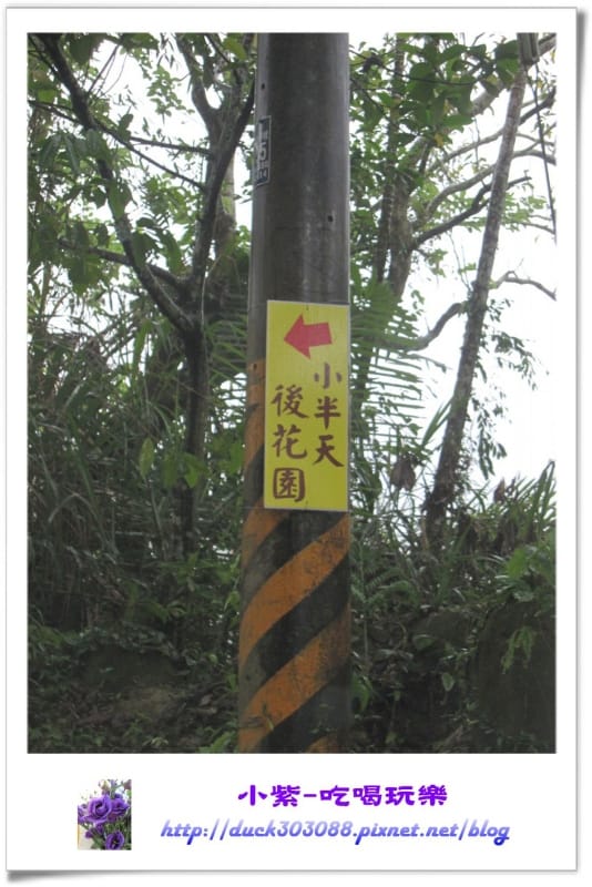 小半天後花園露營區 (5).jpg