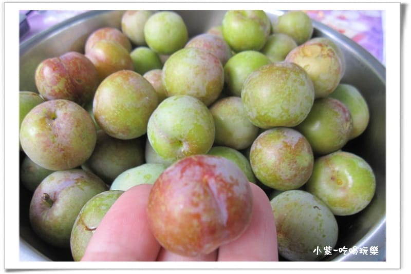 小半天後花園露營區 (100).jpg