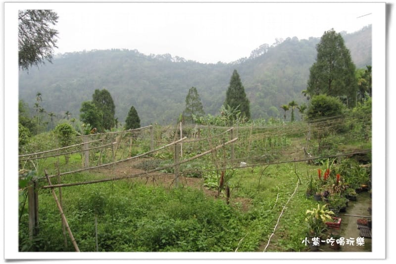 小半天後花園露營區 (88).jpg