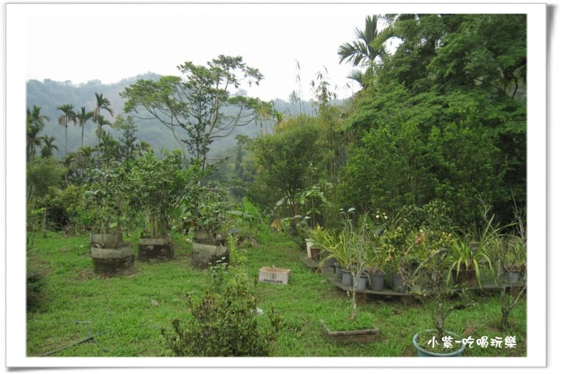 小半天後花園露營區 (94).jpg