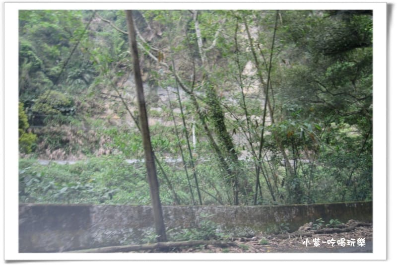 小半天後花園露營區.jpg