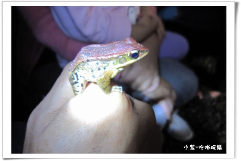 小半天後花園露營區 (49).jpg