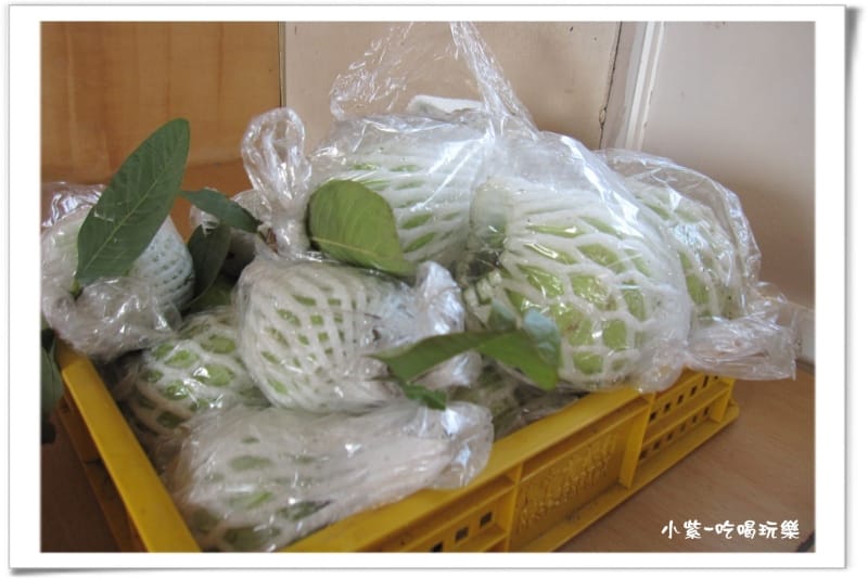 台中港-歡樂遊艇嘉年華 (49).jpg