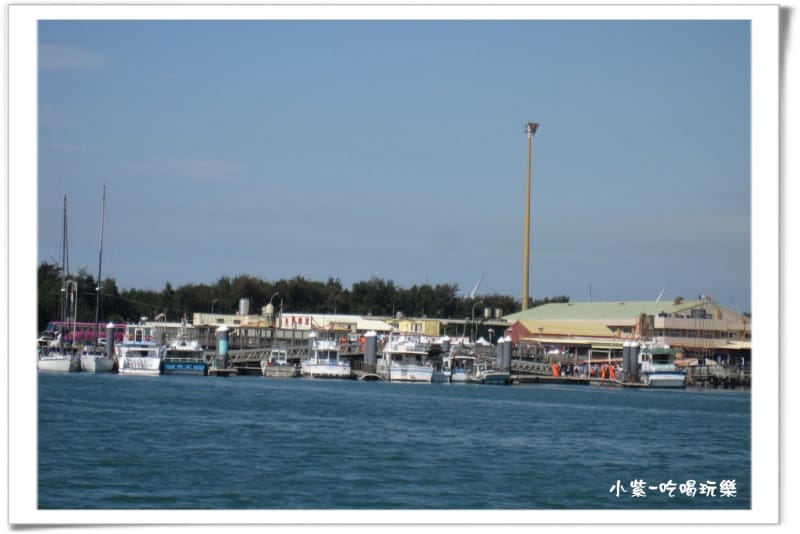台中港-歡樂遊艇嘉年華 (45).jpg
