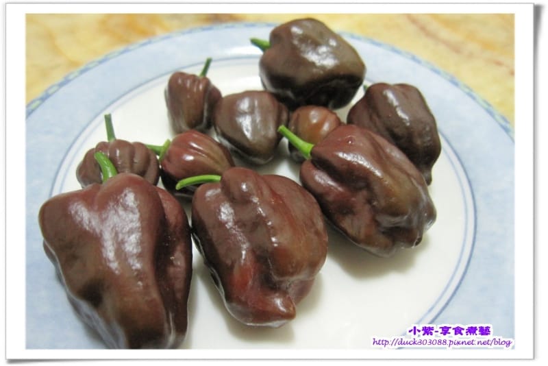 巧克力辣椒 (7).jpg 巧克力辣椒 (7).jpg