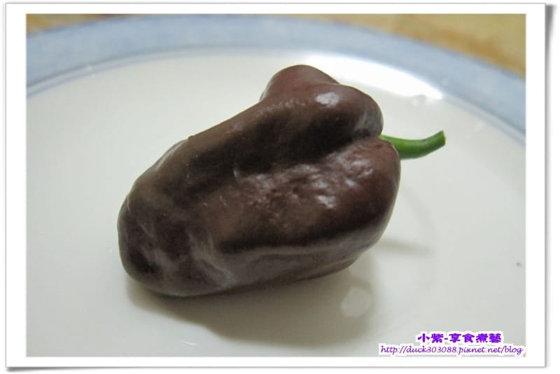 巧克力辣椒 (8).jpg 巧克力辣椒 (8).jpg