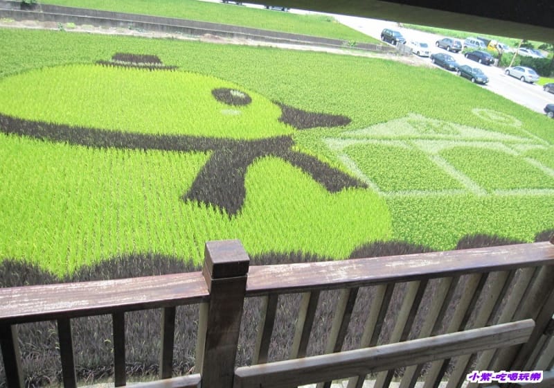 2014.06.13苑裡-彩繪稻田 (1).jpg 2014.06.13苑裡-彩繪稻田 (1).jpg
