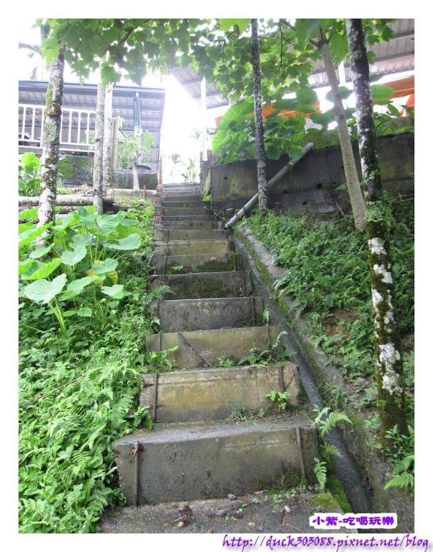 上層營位往水庫之階梯步道 (2).jpg