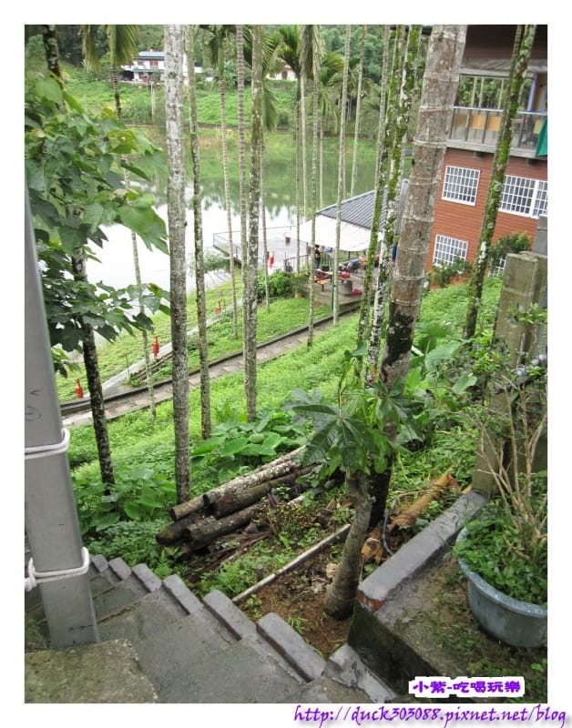 上層營位往水庫之階梯步道 (1).jpg