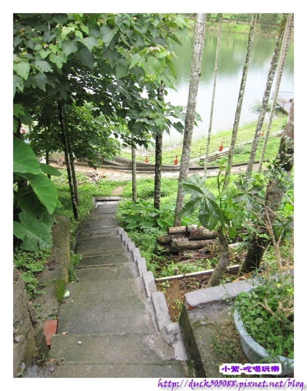 上層營位往水庫之階梯步道.jpg