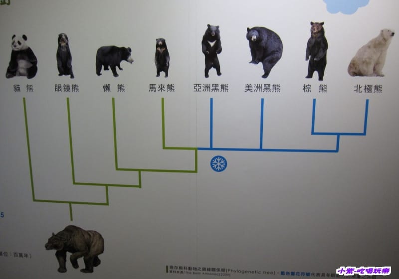 集集特有生物研究中心 (23).jpg 集集特有生物研究中心 (23).jpg