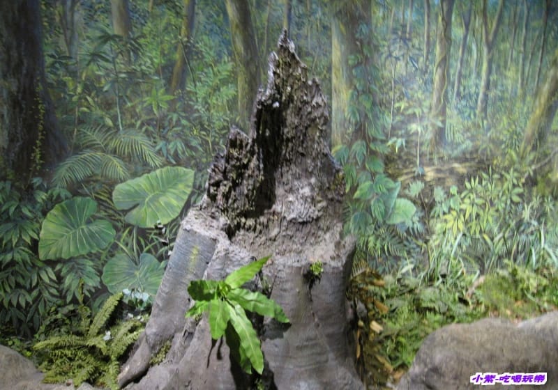 集集特有生物研究中心 (87).jpg 集集特有生物研究中心 (87).jpg