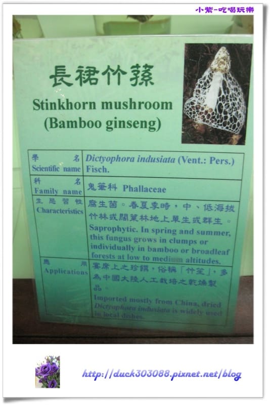 集集特有生物研究中心 (57).jpg 集集特有生物研究中心 (57).jpg