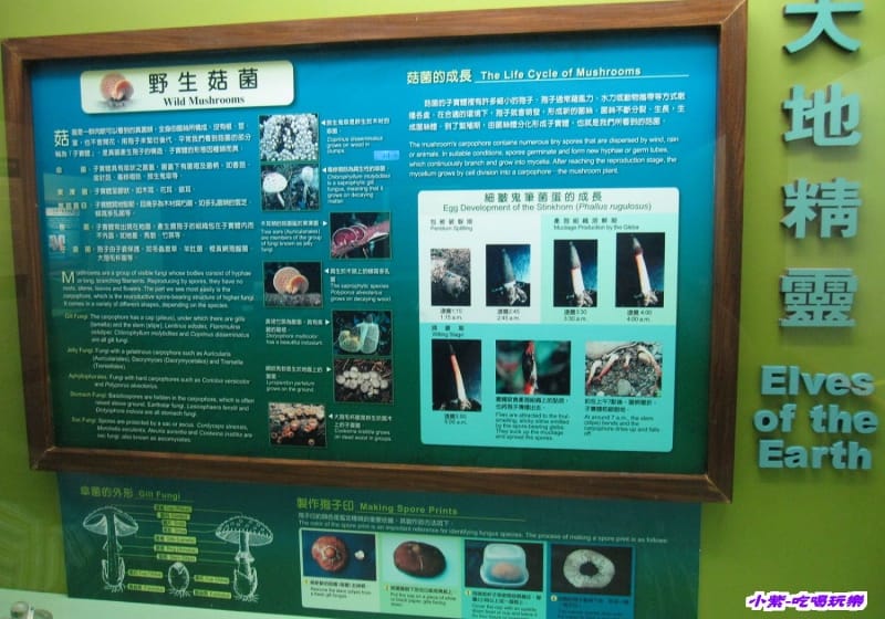 集集特有生物研究中心 (50).jpg 集集特有生物研究中心 (50).jpg