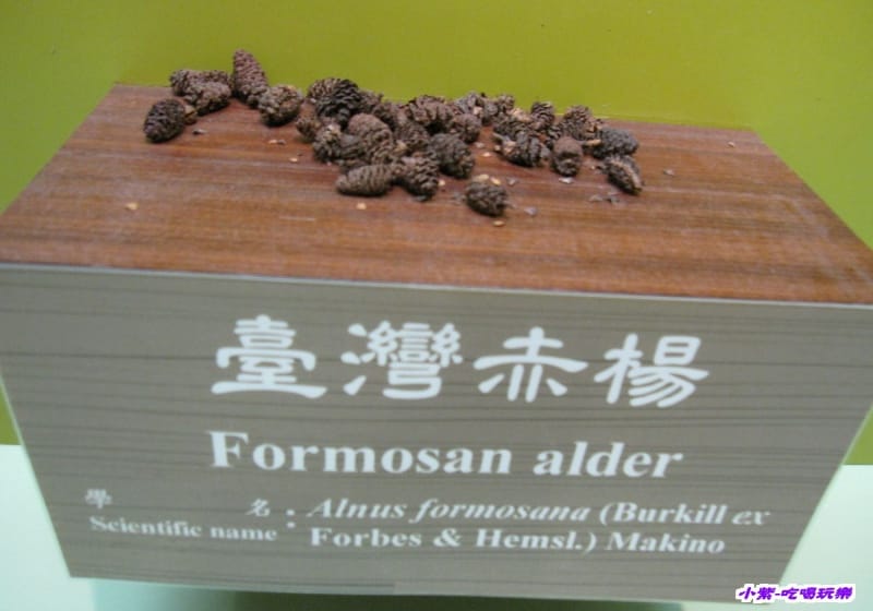 集集特有生物研究中心 (47).jpg 集集特有生物研究中心 (47).jpg