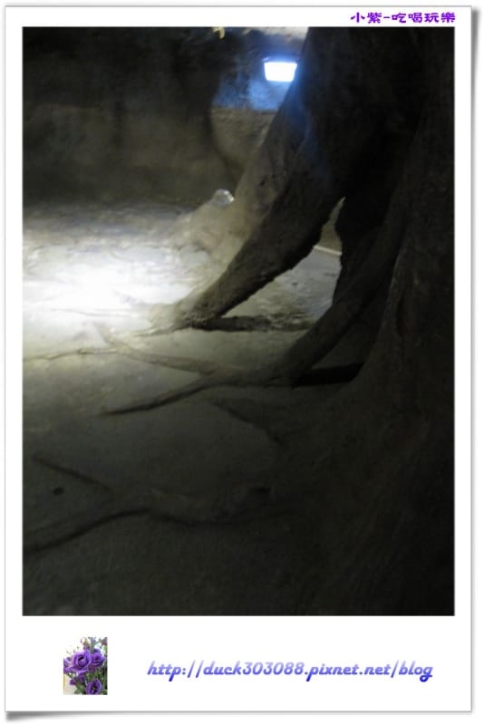 集集特有生物研究中心 (13).jpg 集集特有生物研究中心 (13).jpg