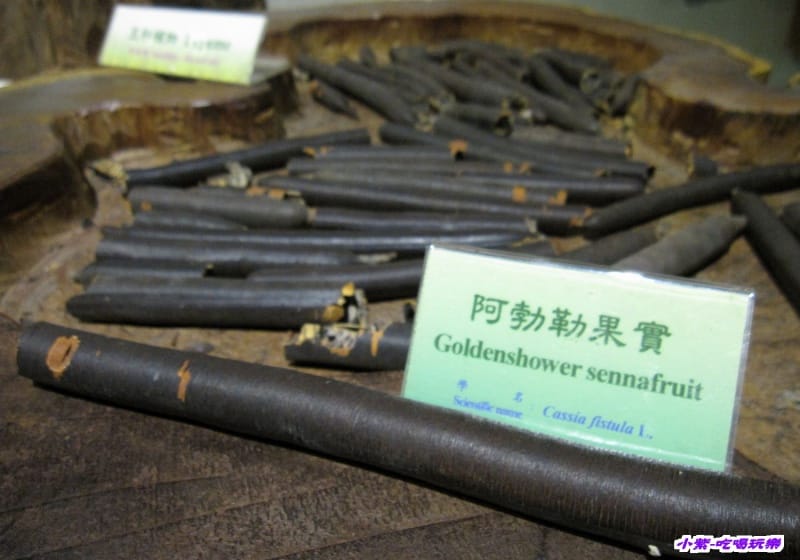 集集特有生物研究中心 (43).jpg 集集特有生物研究中心 (43).jpg