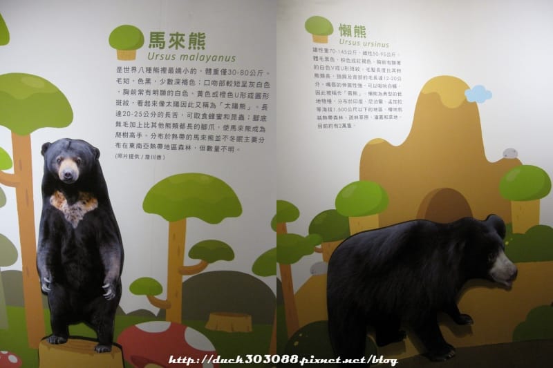 熊1.jpg 熊1.jpg