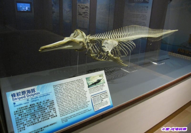 集集特有生物研究中心 (63).jpg 集集特有生物研究中心 (63).jpg