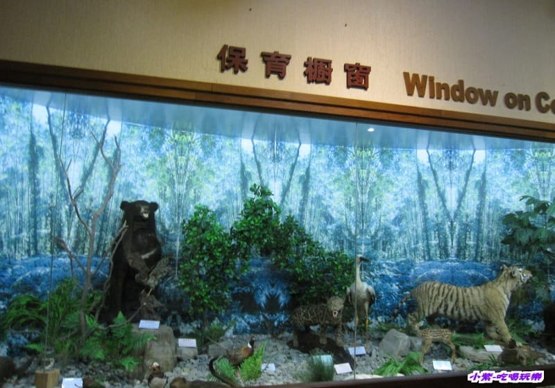 集集特有生物研究中心 (72).jpg 集集特有生物研究中心 (72).jpg