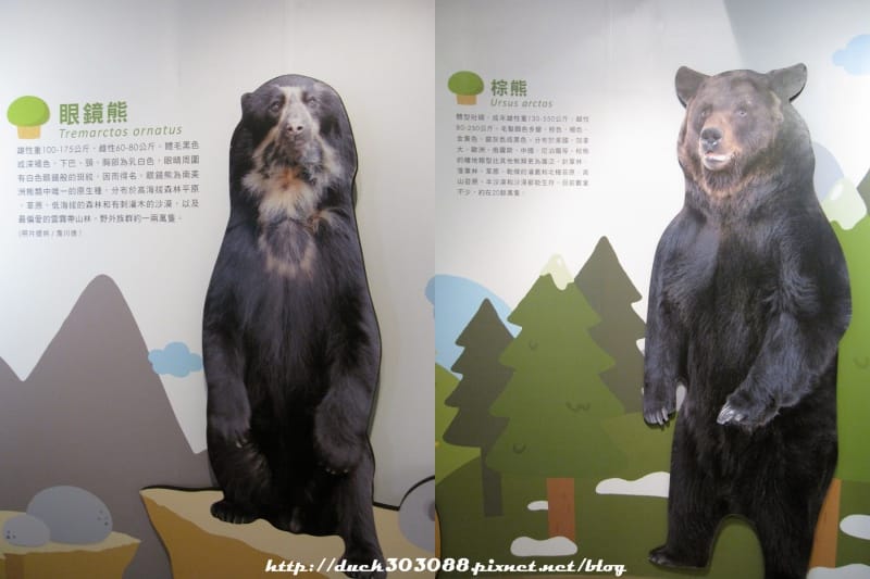 熊2.jpg 熊2.jpg