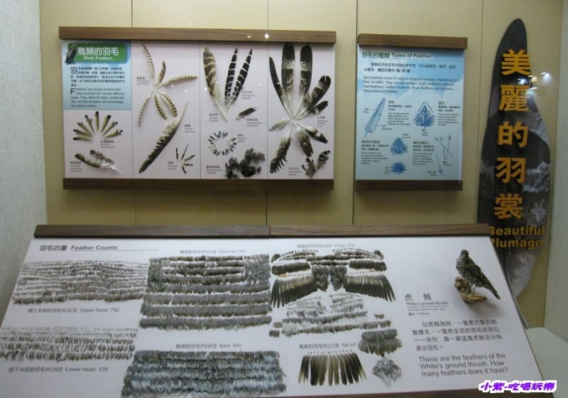 集集特有生物研究中心 (75).jpg 集集特有生物研究中心 (75).jpg