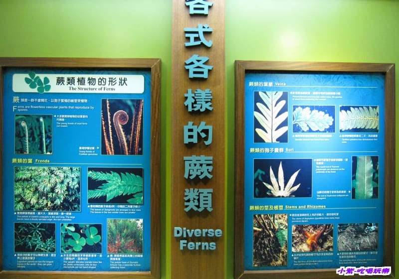 集集特有生物研究中心 (49).jpg 集集特有生物研究中心 (49).jpg