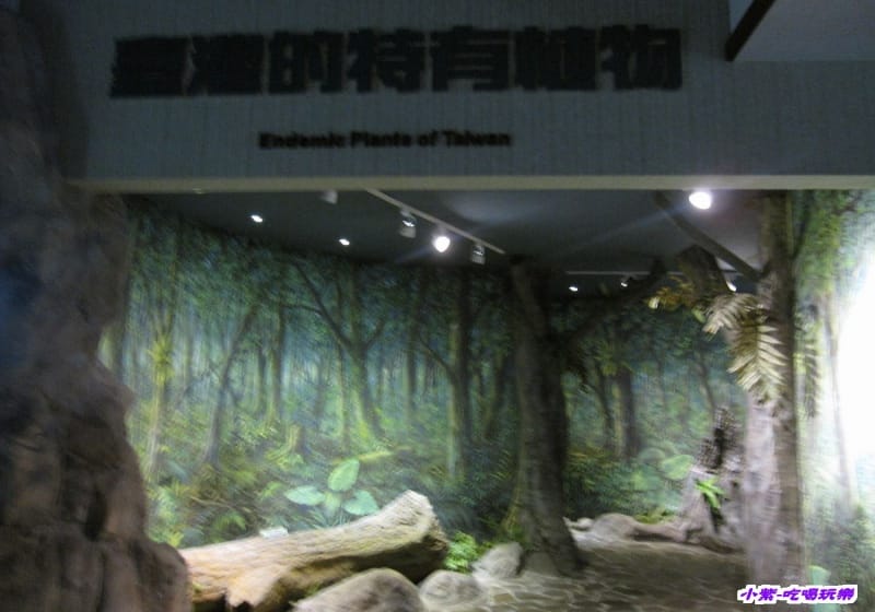 集集特有生物研究中心 (86).jpg 集集特有生物研究中心 (86).jpg