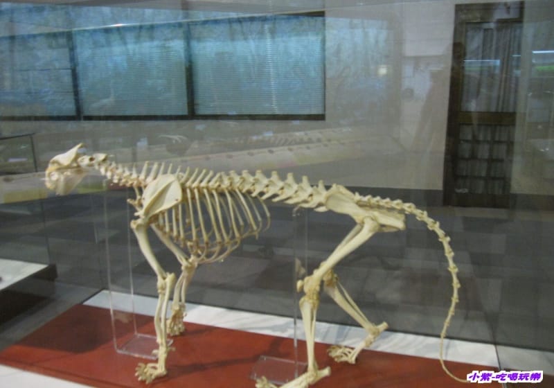 集集特有生物研究中心 (73).jpg 集集特有生物研究中心 (73).jpg