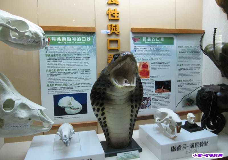 集集特有生物研究中心 (65).jpg 集集特有生物研究中心 (65).jpg