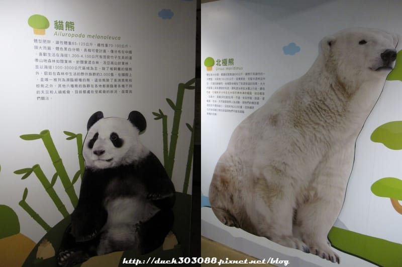 熊.jpg 熊.jpg