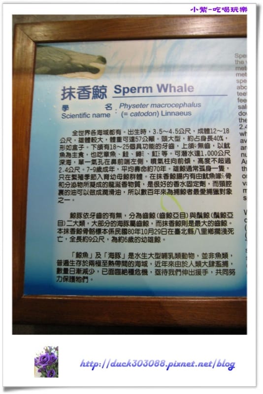 集集特有生物研究中心 (64).jpg 集集特有生物研究中心 (64).jpg