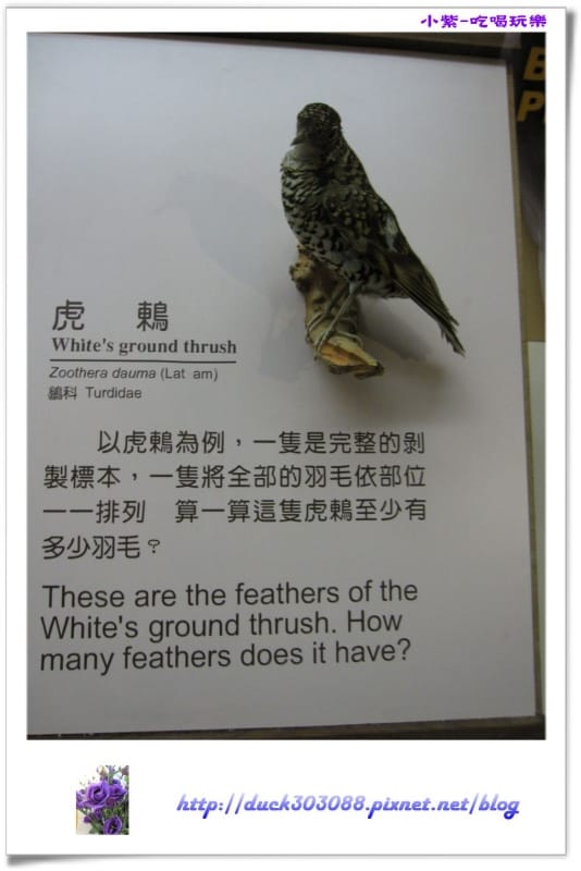 集集特有生物研究中心 (77)(001).jpg 集集特有生物研究中心 (77)(001).jpg