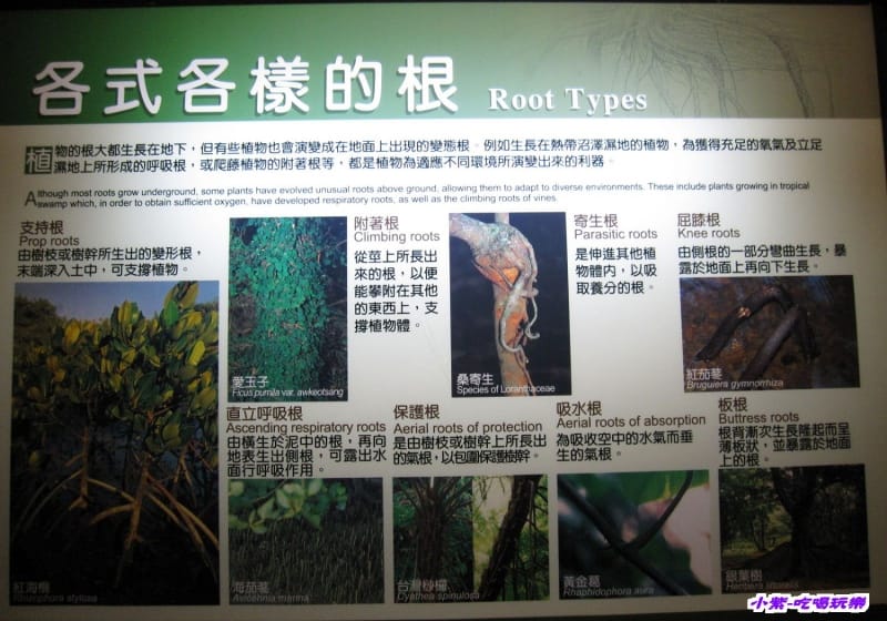 集集特有生物研究中心 (14).jpg 集集特有生物研究中心 (14).jpg