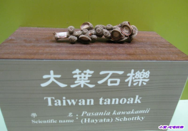 集集特有生物研究中心 (46).jpg 集集特有生物研究中心 (46).jpg
