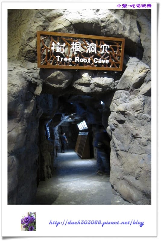 集集特有生物研究中心 (10).jpg 集集特有生物研究中心 (10).jpg