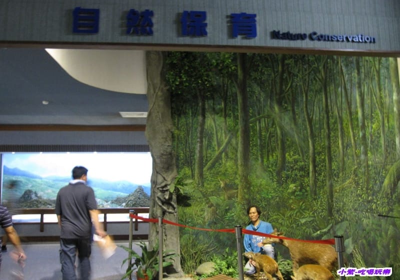 集集特有生物研究中心 (81).jpg 集集特有生物研究中心 (81).jpg