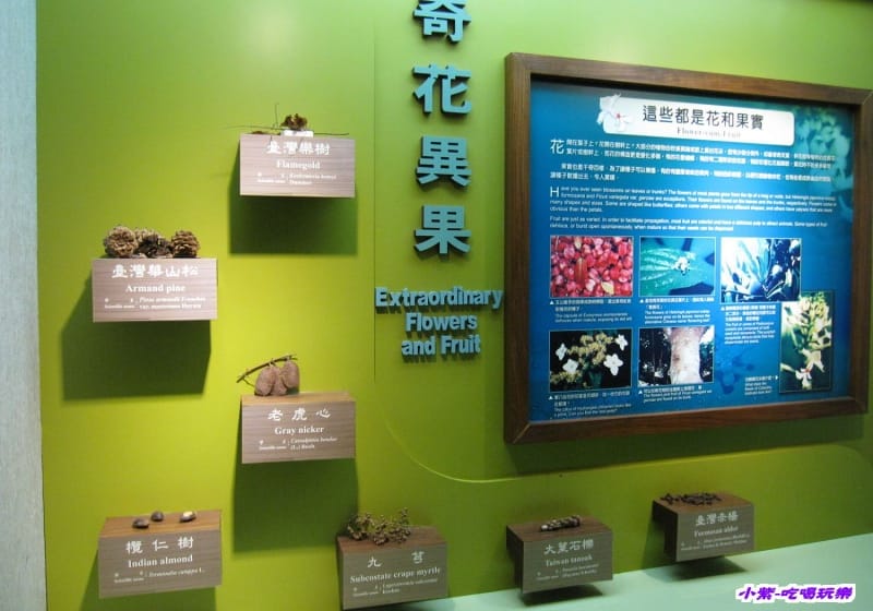 集集特有生物研究中心 (44).jpg 集集特有生物研究中心 (44).jpg