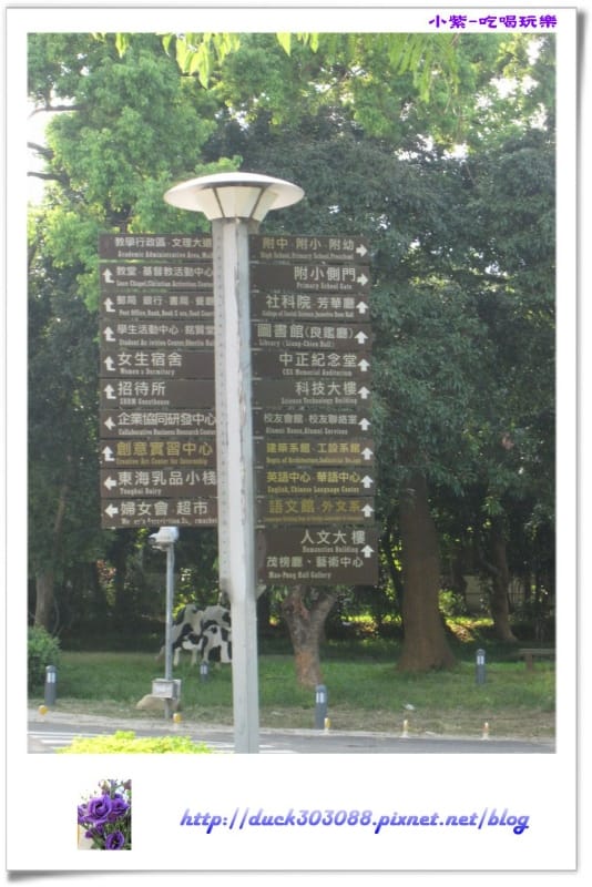 東海大學 (10).jpg