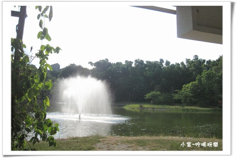 東海湖 (7).jpg