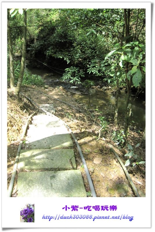 往溪邊的步道.jpg 往溪邊的步道.jpg