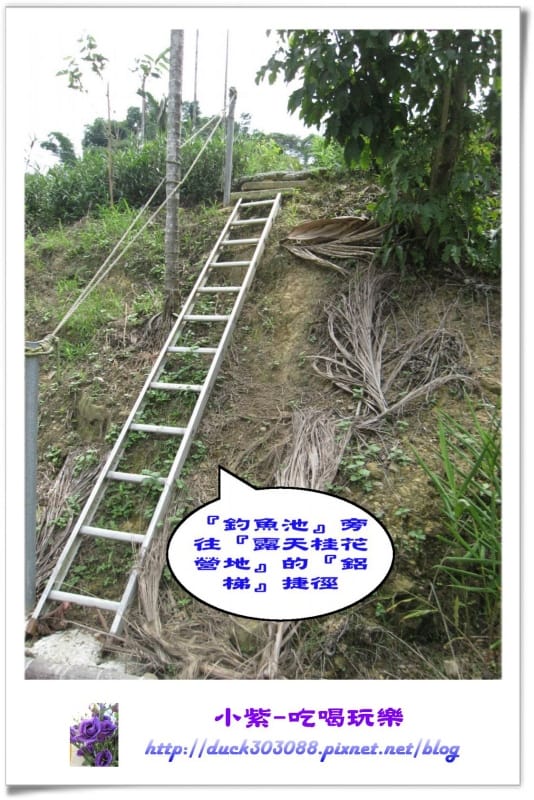 捷徑.jpg 捷徑.jpg