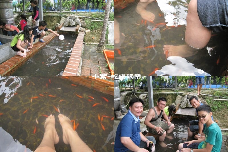 魚兒吃角質.jpg 魚兒吃角質.jpg