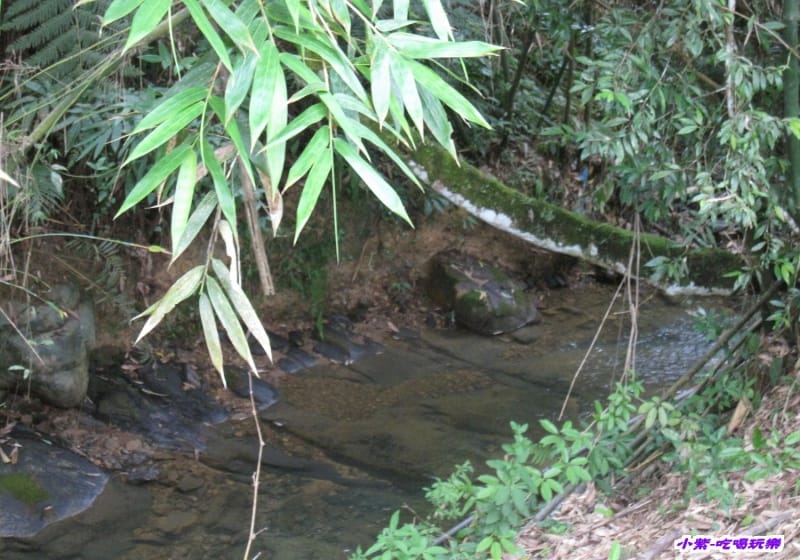 小溪4.jpg 小溪4.jpg